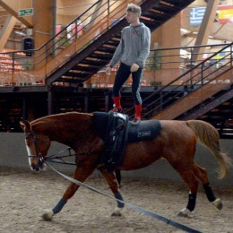 The European horse center - Boulerie jump