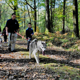 Cani-rando / cani-kart